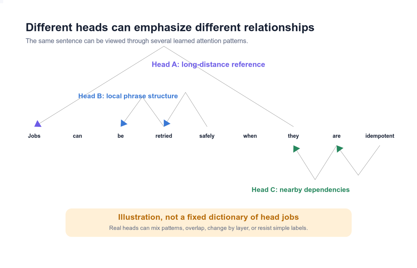 Attention head specialization: different heads can emphasize local grammar, long-distance reference, or positional patterns in the same sentence.