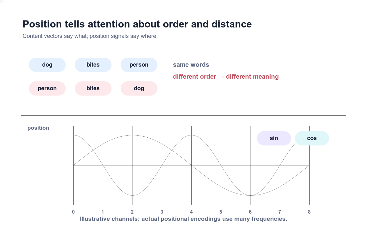 Positional encoding: token embeddings combine with position-dependent signals; sinusoidal channels change smoothly across positions and let equal words at different positions be distinguished.