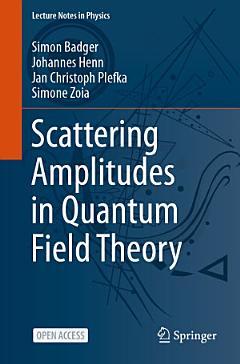 Scattering Amplitudes in Quantum Field Theory