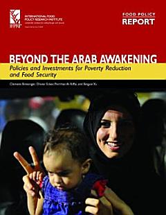 Beyond the Arab Awakening