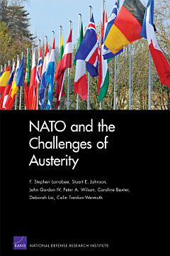 NATO and the Challenges of Austerity