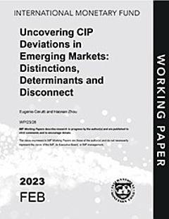 Uncovering CIP Deviations in Emerging Markets: Distinctions, Determinants and Disconnect