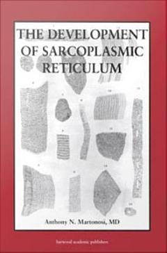 The Development of the Sarcoplasmic Reticulum