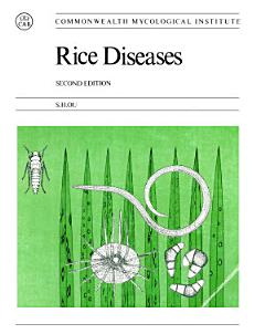 Rice Diseases