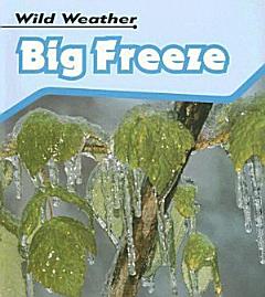 Big Freeze