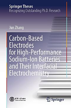 Carbon-Based Electrodes for High-Performance Sodium-Ion Batteries and Their Interfacial Electrochemistry