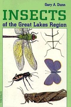 Insects of the Great Lakes Region