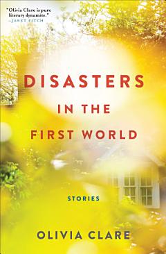 Disasters in the First World