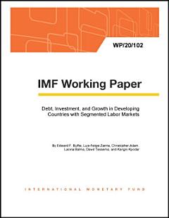 Debt, Investment, and Growth in Developing Countries with Segmented Labor Markets