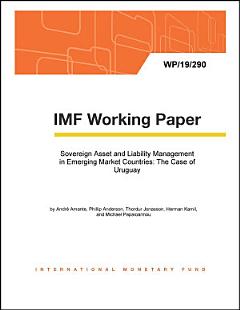 Sovereign Asset and Liability Management in Emerging Market Countries: The Case of Uruguay