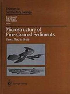 Microstructure of Fine-Grained Sediments