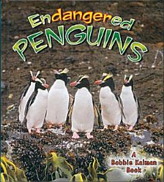 Endangered Penguins