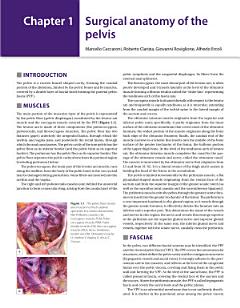 Minimally Invasive Gynecologic Surgery: Evidence-Based Laparoscopic, Hysteroscopic & Robotic Surgeries