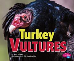 Turkey Vultures