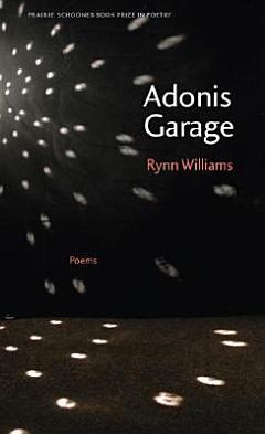 Adonis Garage