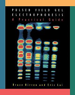 Pulsed Field Gel Electrophoresis