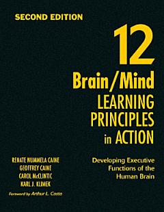 12 Brain/Mind Learning Principles in Action