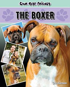 The Boxer