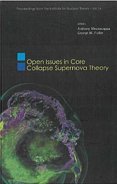 Open Issues in Core Collapse Supernova Theory