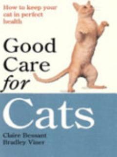 Good Care for Cats