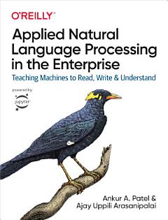 Applied Natural Language Processing in the Enterprise