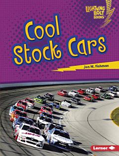 Cool Stock Cars