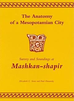 The Anatomy of a Mesopotamian City