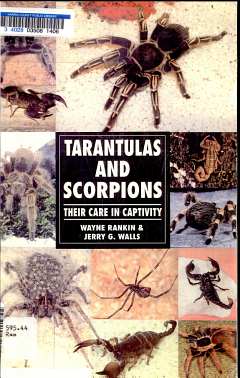 Tarantulas and Scorpions