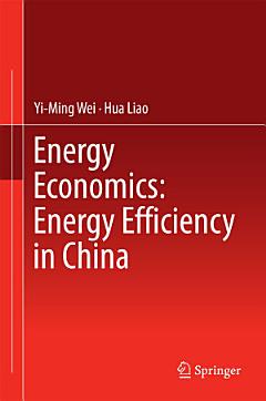 Energy Economics: Energy Efficiency in China