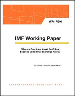 Why are Countries’ Asset Portfolios Exposed to Nominal Exchange Rates?