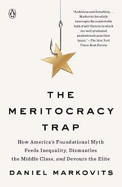 The Meritocracy Trap