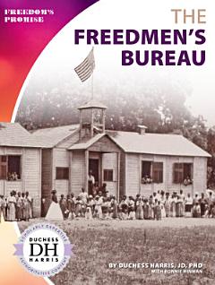 The Freedmen\'s Bureau