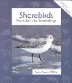 Shorebirds