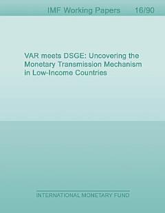 VAR meets DSGE