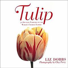 Tulip