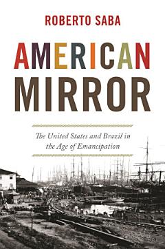 American Mirror