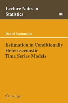 Estimation in Conditionally Heteroscedastic Time Series Models