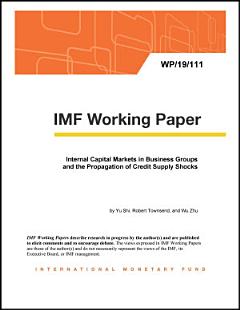 Internal Capital Markets in Business Groups and the Propagation of Credit Supply Shocks