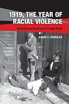 1919, The Year of Racial Violence