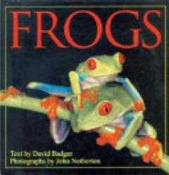 Frogs