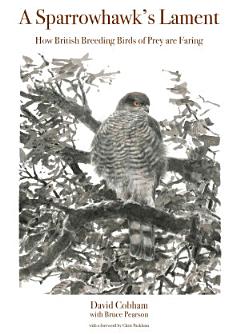 A Sparrowhawk\'s Lament