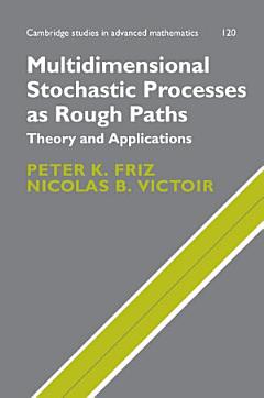 Multidimensional Stochastic Processes as Rough Paths