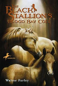 The Black Stallion\'s Blood Bay Colt