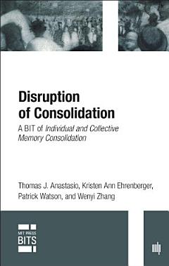 Disruption of Consolidation, digital original edition