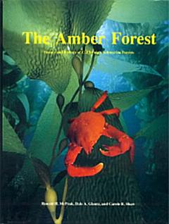 Amber Forest