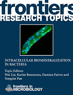 Intracellular biomineralization in bacteria