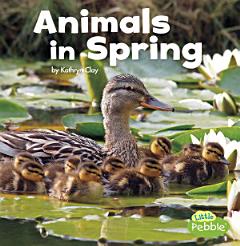 Animals in Spring