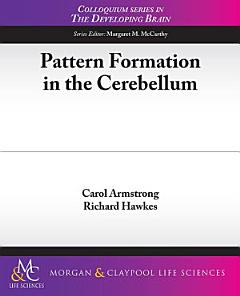 Pattern Formation in the Cerebellum