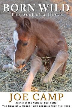 Born Wild - The Soul of a Horse