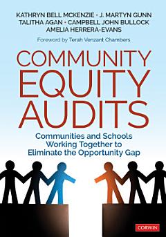 Community Equity Audits